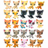 Real pet toys collections standing short hair cat