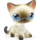 Real pet toys collections standing short hair cat