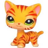 Real pet toys collections standing short hair cat