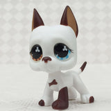 Real pet toys collections standing short hair cat