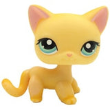 Real pet toys collections standing short hair cat