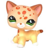 Real pet toys collections standing short hair cat