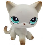 Real pet toys collections standing short hair cat