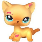 Real pet toys collections standing short hair cat