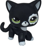 Real pet toys collections standing short hair cat