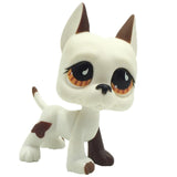 Real pet toys collections standing short hair cat