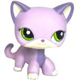 Real pet toys collections standing short hair cat