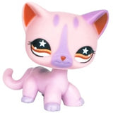 Real pet toys collections standing short hair cat