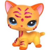 Real pet toys collections standing short hair cat