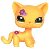 Real pet toys collections standing short hair cat