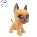 Real pet toys collections standing short hair cat