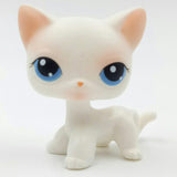 Real pet toys collections standing short hair cat