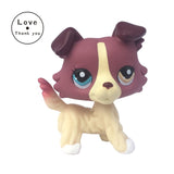 Real pet toys collections standing short hair cat