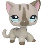 Real pet toys collections standing short hair cat