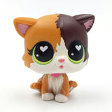 Real pet toys collections standing short hair cat